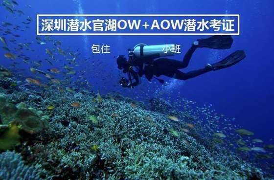 金融监管总局刘志清:银行业有望持续保持稳健发展势头 保险业未来发展潜力巨大